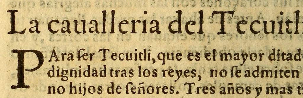 An illustration from Historia de Mexico, : con el descubrimiento dela Nueua España, conquistada por el muy illustre y valeroso principe don Fernando Cortes, ..., 1554, leaf 620