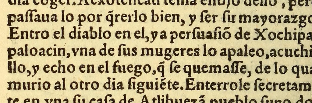 An illustration from Historia de Mexico, : con el descubrimiento dela Nueua España, conquistada por el muy illustre y valeroso principe don Fernando Cortes, ..., 1554, leaf 686