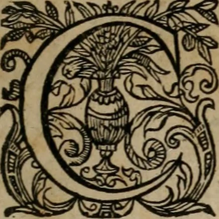An illustration from Historia deorum fatidicorum, vatum, sibyllarum, phoebadum, apud priscos illustrium : cum eorum iconibus : præposita est dissertatio de divinatione et oraculis, 1675, leaf 10
