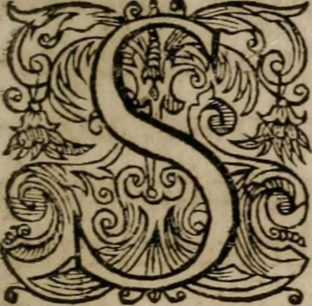 An illustration from Historia deorum fatidicorum, vatum, sibyllarum, phoebadum, apud priscos illustrium : cum eorum iconibus : præposita est dissertatio de divinatione et oraculis, 1675, leaf 180