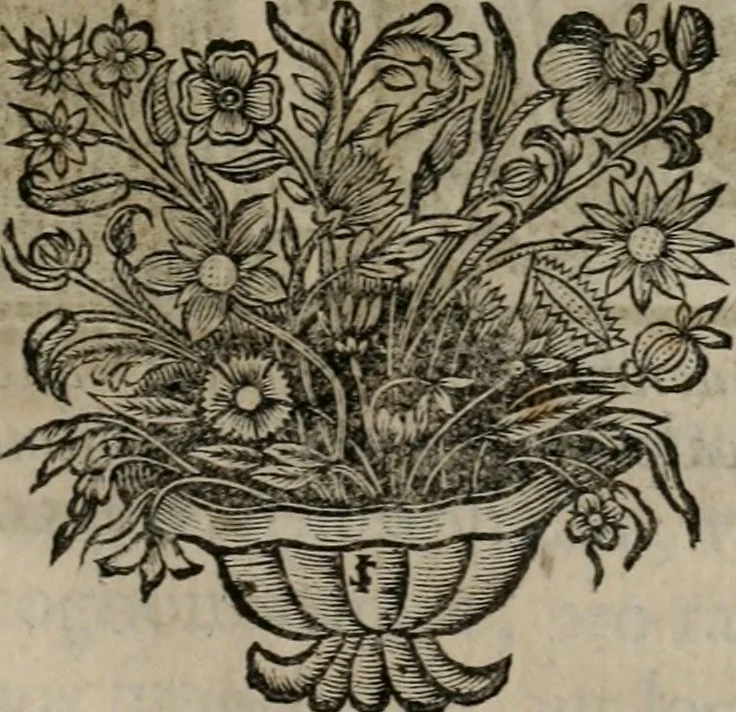 An illustration from Historia deorum fatidicorum, vatum, sibyllarum, phoebadum, apud priscos illustrium : cum eorum iconibus : præposita est dissertatio de divinatione et oraculis, 1675, leaf 42
