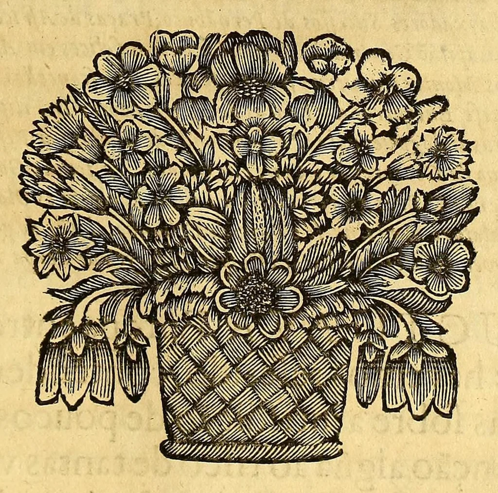 An illustration from Historia de Portugal restaurado., 1679, leaf 723