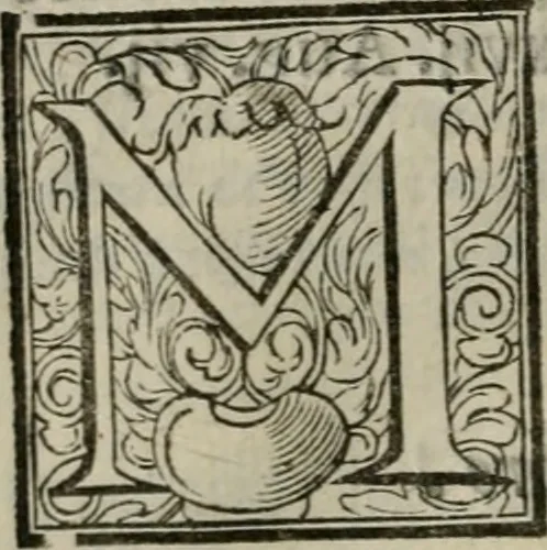 An illustration from Historia de' Rossi parmigiani, 1583, leaf 163
