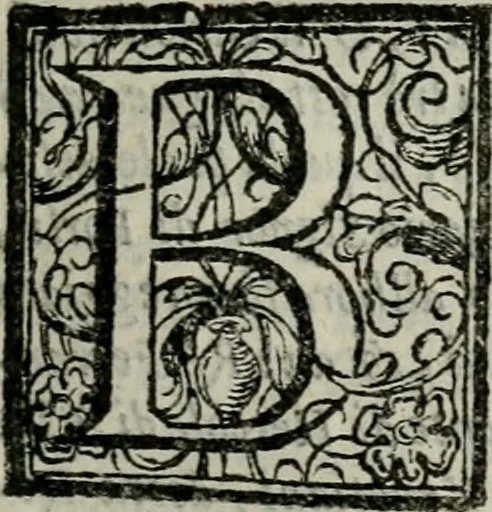 An illustration from Historia de' Rossi parmigiani, 1583, leaf 230