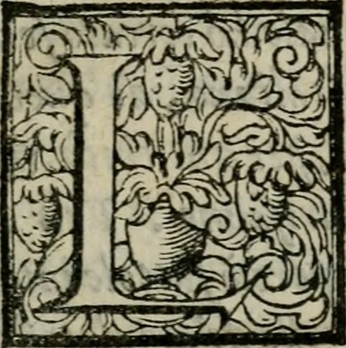 An illustration from Historia de' Rossi parmigiani, 1583, leaf 6