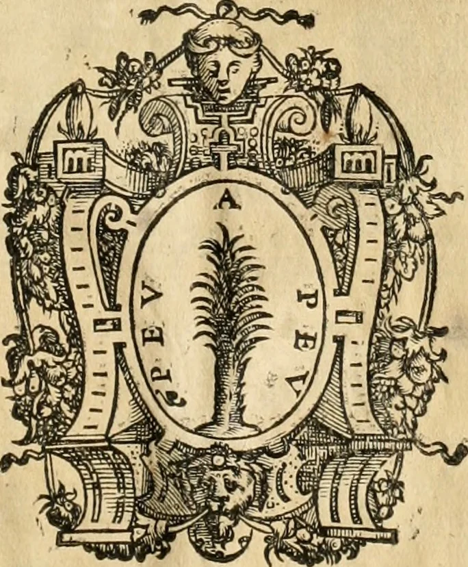 An illustration from Historia de Sevilla, en la qval se contienen svs antigvedades, grandezas, y cosas memorables en ella acontecidas, desde su fundacion hasta nuestros tiempos .., 1586, leaf 198