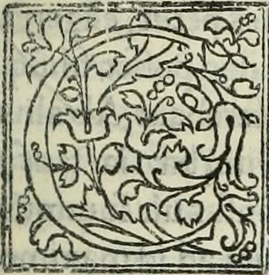 An illustration from Historia de uita et gestis Scanderbegi Epirotarum principis, 1508, leaf 252