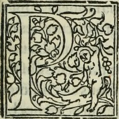 An illustration from Historia de uita et gestis Scanderbegi Epirotarum principis, 1508, leaf 310