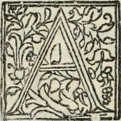 An illustration from Historia de uita et gestis Scanderbegi Epirotarum principis, 1508, leaf 65