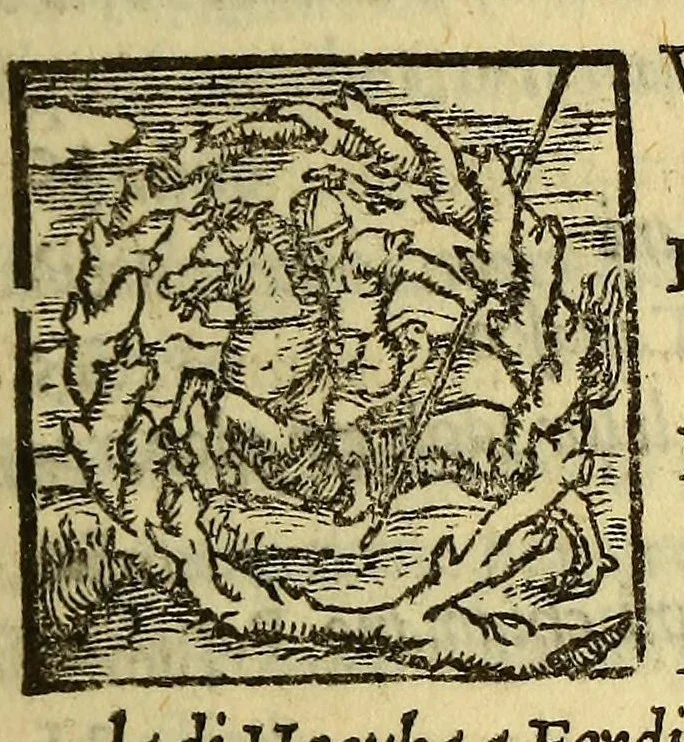 An illustration from Historia di don Ferdinando Cortes, e marchese della Valle, capitan valorosissimo, con le sue maravigliose prodezze nel tempo, che discopri, & acquisto la Nuoua Spagna. Parte terza., 1560, leaf 11