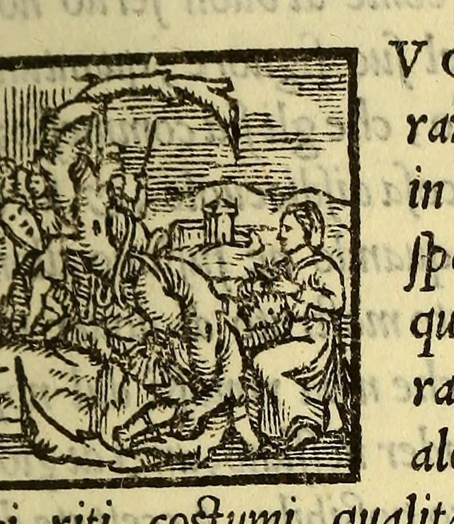 An illustration from Historia di don Ferdinando Cortes, e marchese della Valle, capitan valorosissimo, con le sue maravigliose prodezze nel tempo, che discopri, & acquisto la Nuoua Spagna. Parte terza., 1560, leaf 25