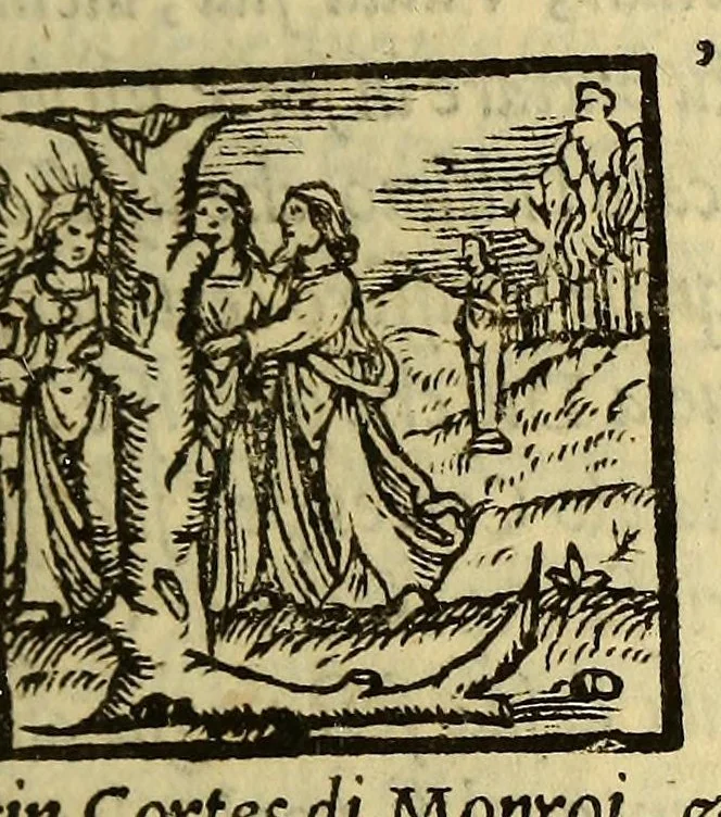 An illustration from Historia di don Ferdinando Cortes, e marchese della Valle, capitan valorosissimo, con le sue maravigliose prodezze nel tempo, che discopri, & acquisto la Nuoua Spagna. Parte terza., 1560, leaf 29