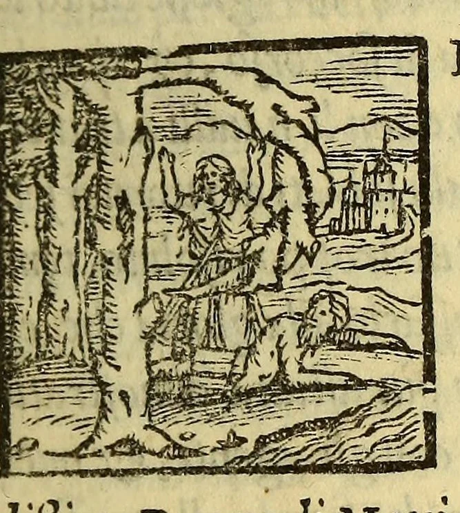 An illustration from Historia di don Ferdinando Cortes, e marchese della Valle, capitan valorosissimo, con le sue maravigliose prodezze nel tempo, che discopri, & acquisto la Nuoua Spagna. Parte terza., 1560, leaf 7