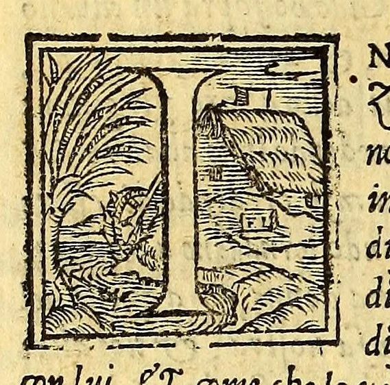 An illustration from Historia di Mexico, et quando si discoperse la nuoua Hispagne, conquistata per illustriss. et ualoroso principe. don Ferdinando Cortese marchese del Valle., 1556, leaf 214