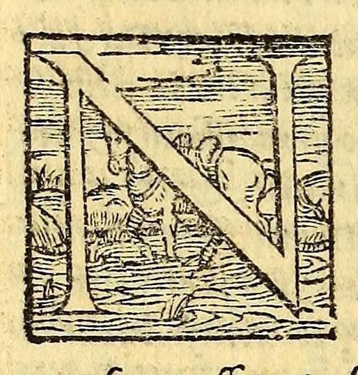 An illustration from Historia di Mexico, et quando si discoperse la nuoua Hispagne, conquistata per illustriss. et ualoroso principe. don Ferdinando Cortese marchese del Valle., 1556, leaf 226