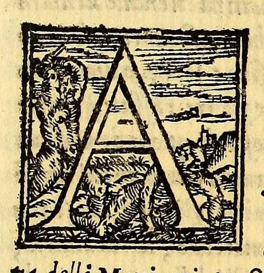 An illustration from Historia di Mexico, et quando si discoperse la nuoua Hispagne, conquistata per illustriss. et ualoroso principe. don Ferdinando Cortese marchese del Valle., 1556, leaf 252