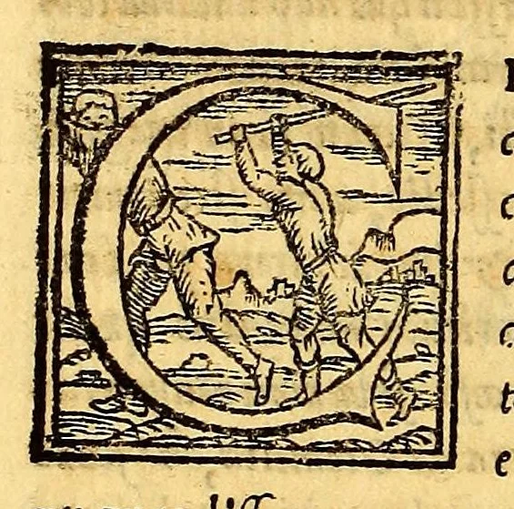 An illustration from Historia di Mexico, et quando si discoperse la nuoua Hispagne, conquistata per illustriss. et ualoroso principe. don Ferdinando Cortese marchese del Valle., 1556, leaf 288