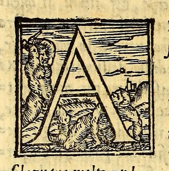 An illustration from Historia di Mexico, et quando si discoperse la nuoua Hispagne, conquistata per illustriss. et ualoroso principe. don Ferdinando Cortese marchese del Valle., 1556, leaf 356