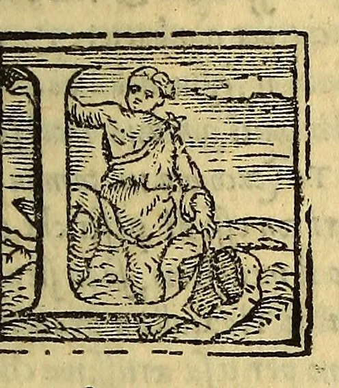 An illustration from Historia di Mexico, et quando si discoperse la nuoua Hispagne, conquistata per illustriss. et ualoroso principe. don Ferdinando Cortese marchese del Valle., 1556, leaf 447