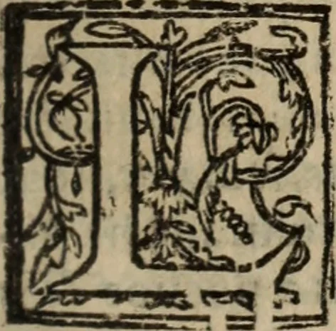 An illustration from Historia do bemauenturado Sam Ioão de Sahagum, patrão Salamantino, primeyra[-segunda] parte, 1609, leaf 112