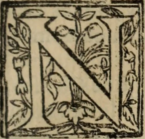 An illustration from Historia do bemauenturado Sam Ioão de Sahagum, patrão Salamantino, primeyra[-segunda] parte, 1609, leaf 128