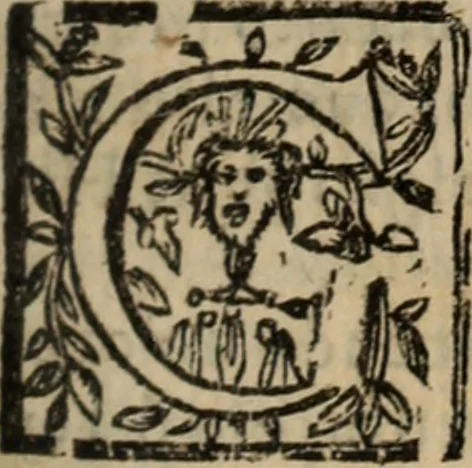 An illustration from Historia do bemauenturado Sam Ioão de Sahagum, patrão Salamantino, primeyra[-segunda] parte, 1609, leaf 152