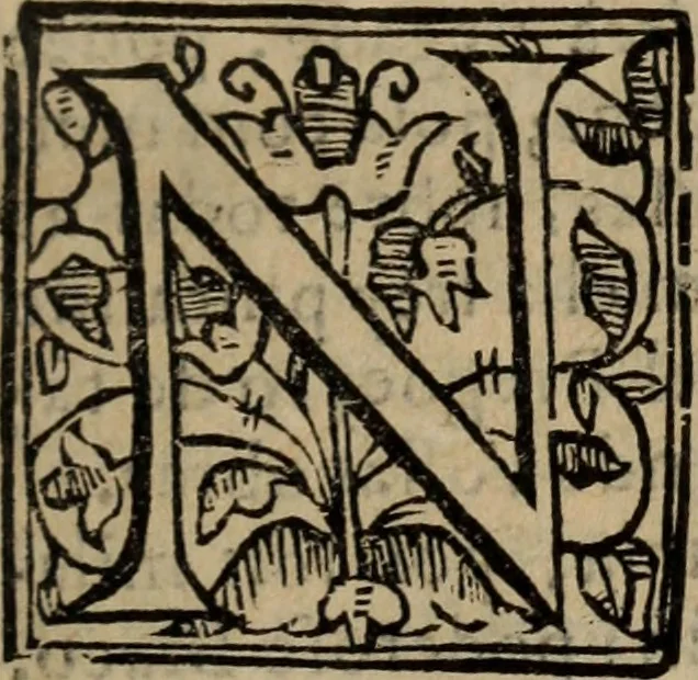 An illustration from Historia do bemauenturado Sam Ioão de Sahagum, patrão Salamantino, primeyra[-segunda] parte, 1609, leaf 16