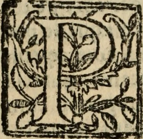 An illustration from Historia do bemauenturado Sam Ioão de Sahagum, patrão Salamantino, primeyra[-segunda] parte, 1609, leaf 219