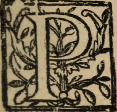 An illustration from Historia do bemauenturado Sam Ioão de Sahagum, patrão Salamantino, primeyra[-segunda] parte, 1609, leaf 260