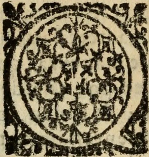 An illustration from Historia do bemauenturado Sam Ioão de Sahagum, patrão Salamantino, primeyra[-segunda] parte, 1609, leaf 317