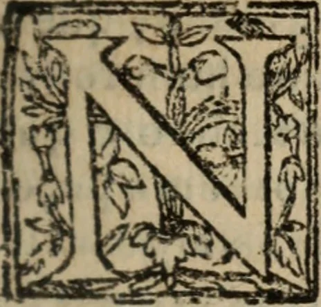 An illustration from Historia do bemauenturado Sam Ioão de Sahagum, patrão Salamantino, primeyra[-segunda] parte, 1609, leaf 326