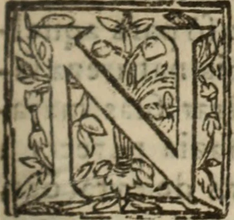 An illustration from Historia do bemauenturado Sam Ioão de Sahagum, patrão Salamantino, primeyra[-segunda] parte, 1609, leaf 366