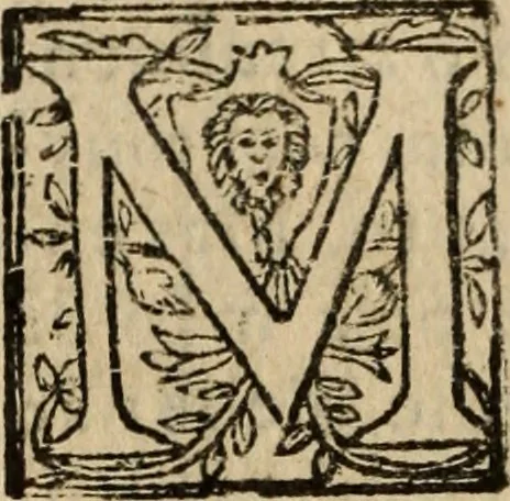 An illustration from Historia do bemauenturado Sam Ioão de Sahagum, patrão Salamantino, primeyra[-segunda] parte, 1609, leaf 403