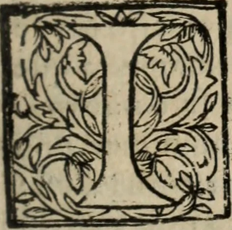 An illustration from Historia do bemauenturado Sam Ioão de Sahagum, patrão Salamantino, primeyra[-segunda] parte, 1609, leaf 422