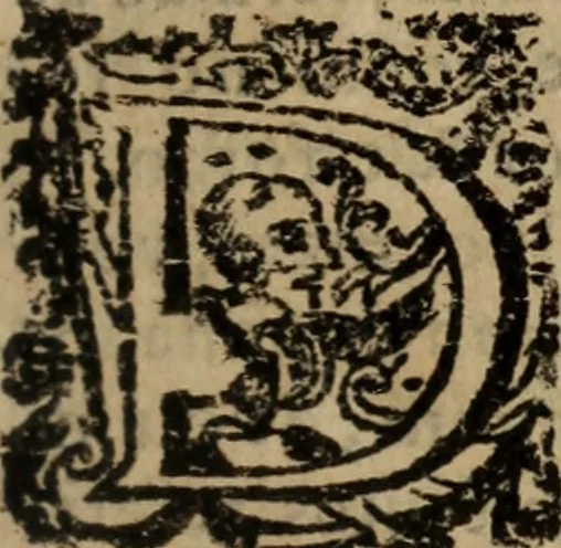 An illustration from Historia do bemauenturado Sam Ioão de Sahagum, patrão Salamantino, primeyra[-segunda] parte, 1609, leaf 44