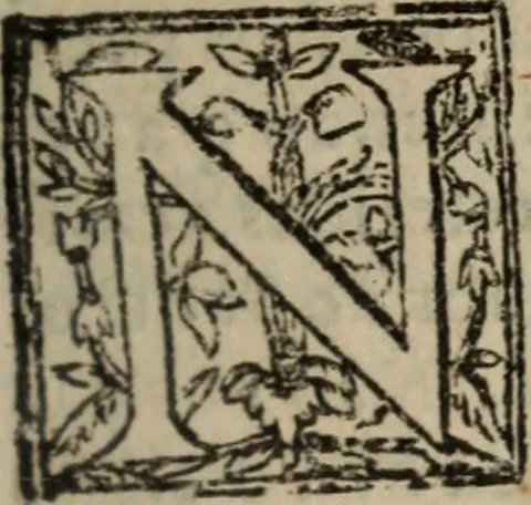 An illustration from Historia do bemauenturado Sam Ioão de Sahagum, patrão Salamantino, primeyra[-segunda] parte, 1609, leaf 488