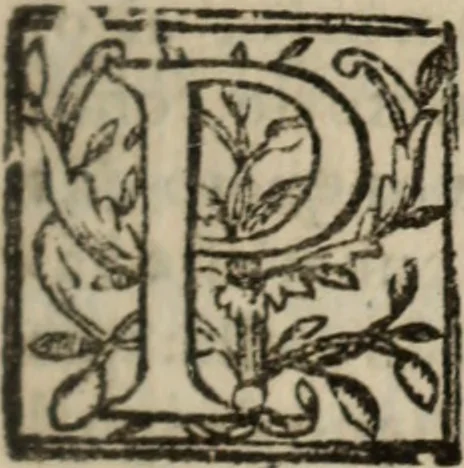 An illustration from Historia do bemauenturado Sam Ioão de Sahagum, patrão Salamantino, primeyra[-segunda] parte, 1609, leaf 498