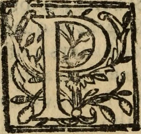 An illustration from Historia do bemauenturado Sam Ioão de Sahagum, patrão Salamantino, primeyra[-segunda] parte, 1609, leaf 53