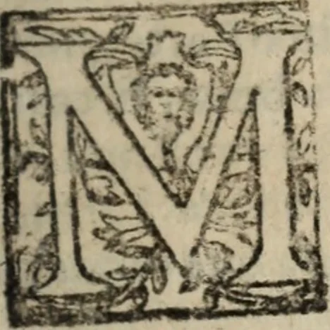 An illustration from Historia do bemauenturado Sam Ioão de Sahagum, patrão Salamantino, primeyra[-segunda] parte, 1609, leaf 538