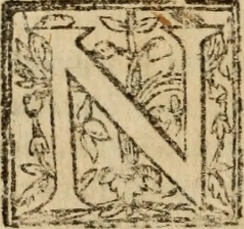 An illustration from Historia do bemauenturado Sam Ioão de Sahagum, patrão Salamantino, primeyra[-segunda] parte, 1609, leaf 565