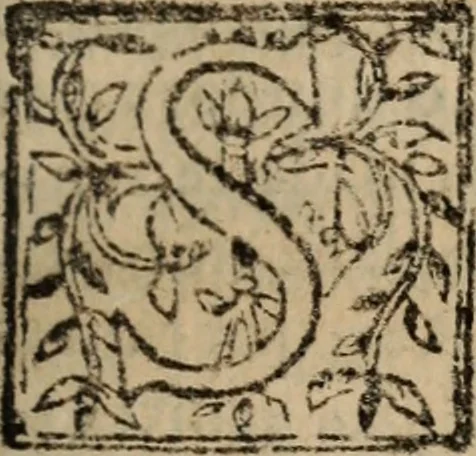 An illustration from Historia do bemauenturado Sam Ioão de Sahagum, patrão Salamantino, primeyra[-segunda] parte, 1609, leaf 592