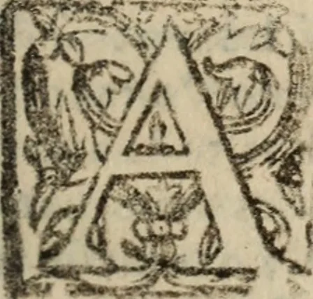 An illustration from Historia do bemauenturado Sam Ioão de Sahagum, patrão Salamantino, primeyra[-segunda] parte, 1609, leaf 598
