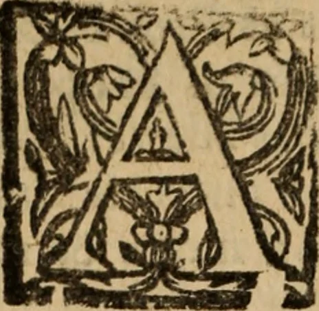 An illustration from Historia do bemauenturado Sam Ioão de Sahagum, patrão Salamantino, primeyra[-segunda] parte, 1609, leaf 605