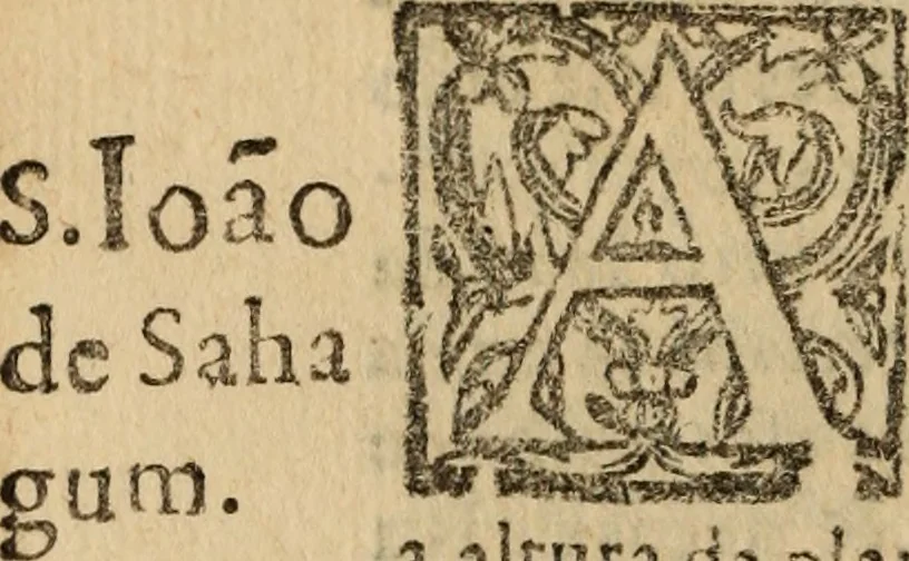 An illustration from Historia do bemauenturado Sam Ioão de Sahagum, patrão Salamantino, primeyra[-segunda] parte, 1609, leaf 613