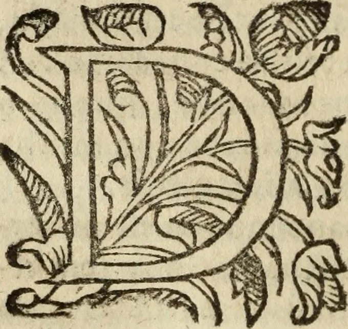 An illustration from Historia do bemauenturado Sam Ioão de Sahagum, patrão Salamantino, primeyra[-segunda] parte, 1609, leaf 661