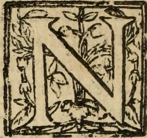 An illustration from Historia do bemauenturado Sam Ioão de Sahagum, patrão Salamantino, primeyra[-segunda] parte, 1609, leaf 75