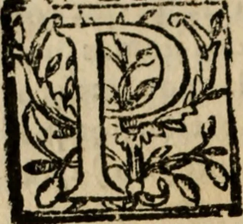 An illustration from Historia do bemauenturado Sam Ioão de Sahagum, patrão Salamantino, primeyra[-segunda] parte, 1609, leaf 83