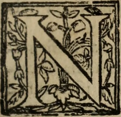 An illustration from Historia do bemauenturado Sam Ioão de Sahagum, patrão Salamantino, primeyra[-segunda] parte, 1609, leaf 94