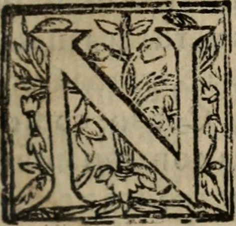 An illustration from Historia do bemauenturado Sam Ioão de Sahagum, patrão Salamantino, primeyra[-segunda] parte, 1609, leaf 96