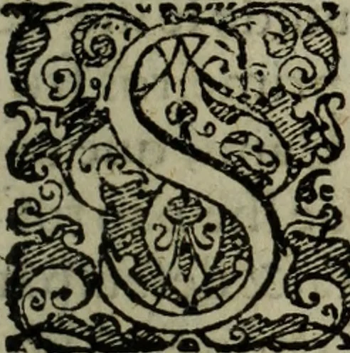 An illustration from Historia do insigne apparecimento de N. Senhora da Luz, & suas obras marauilhosas, 1610, leaf 10